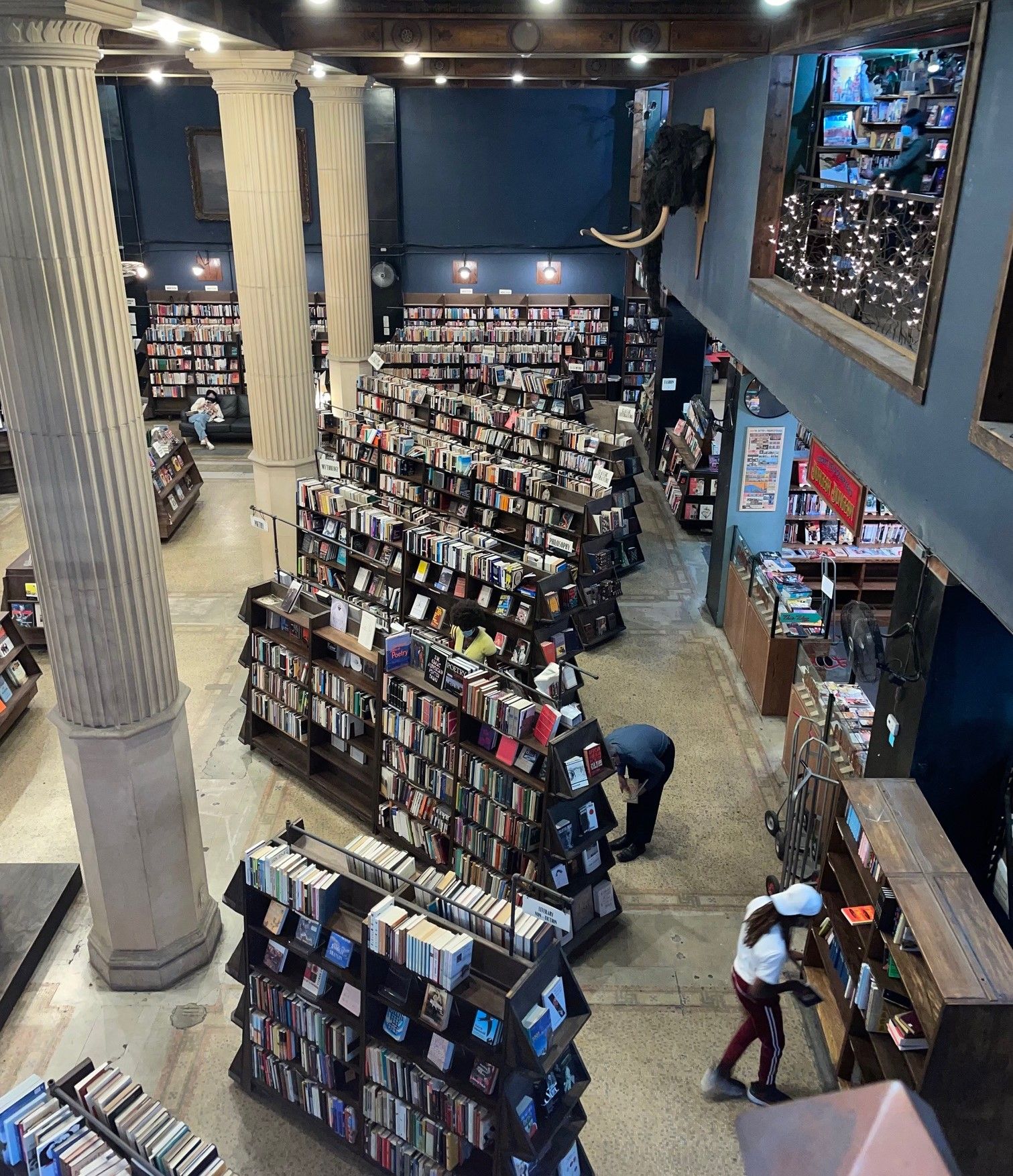 The-Last-Bookstore-personal-4