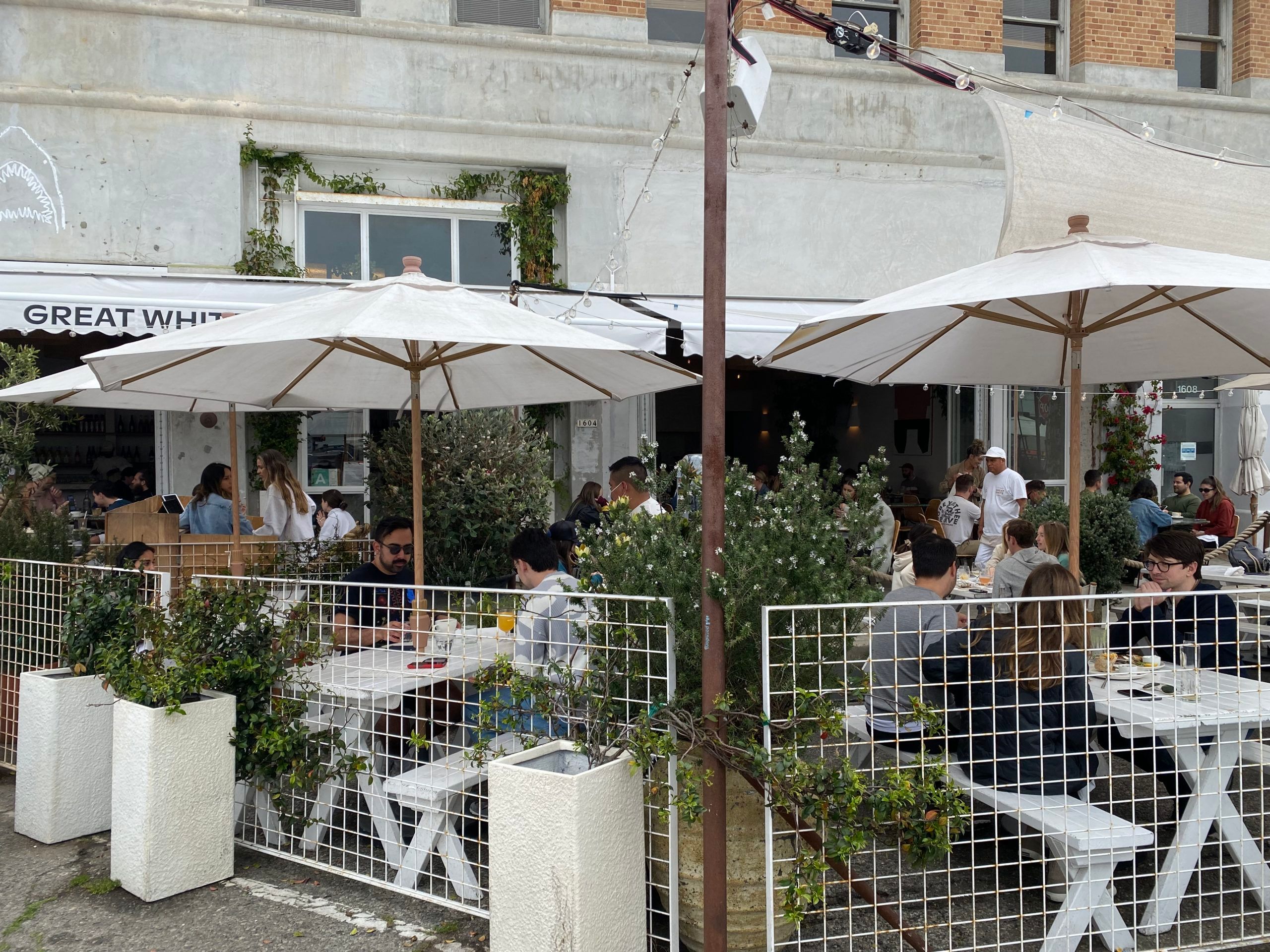 Great-White-personal-1