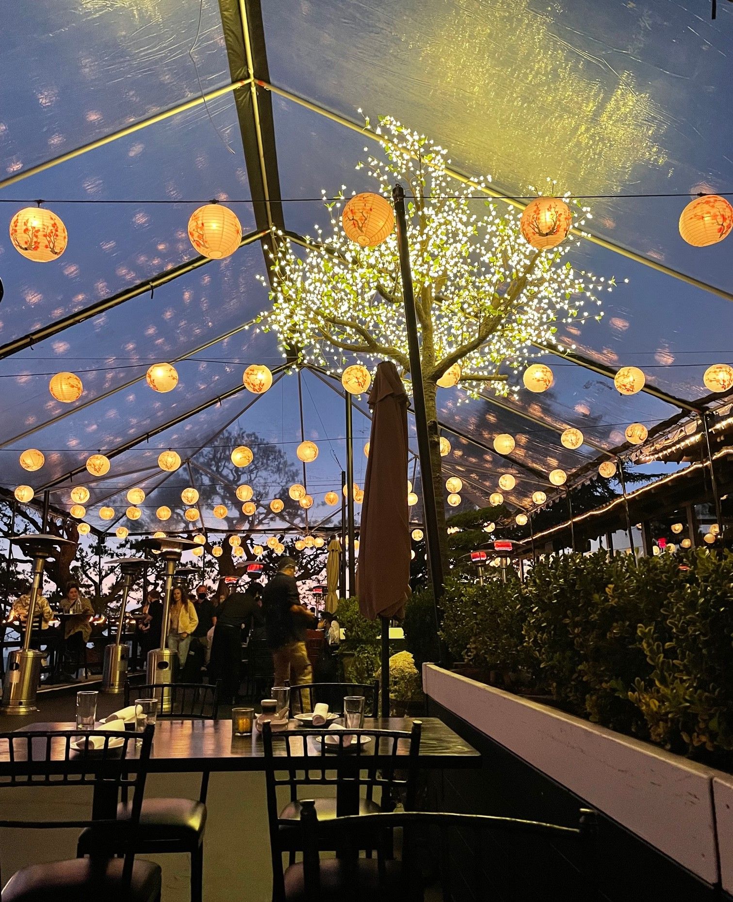 Yamashiro-personal-3